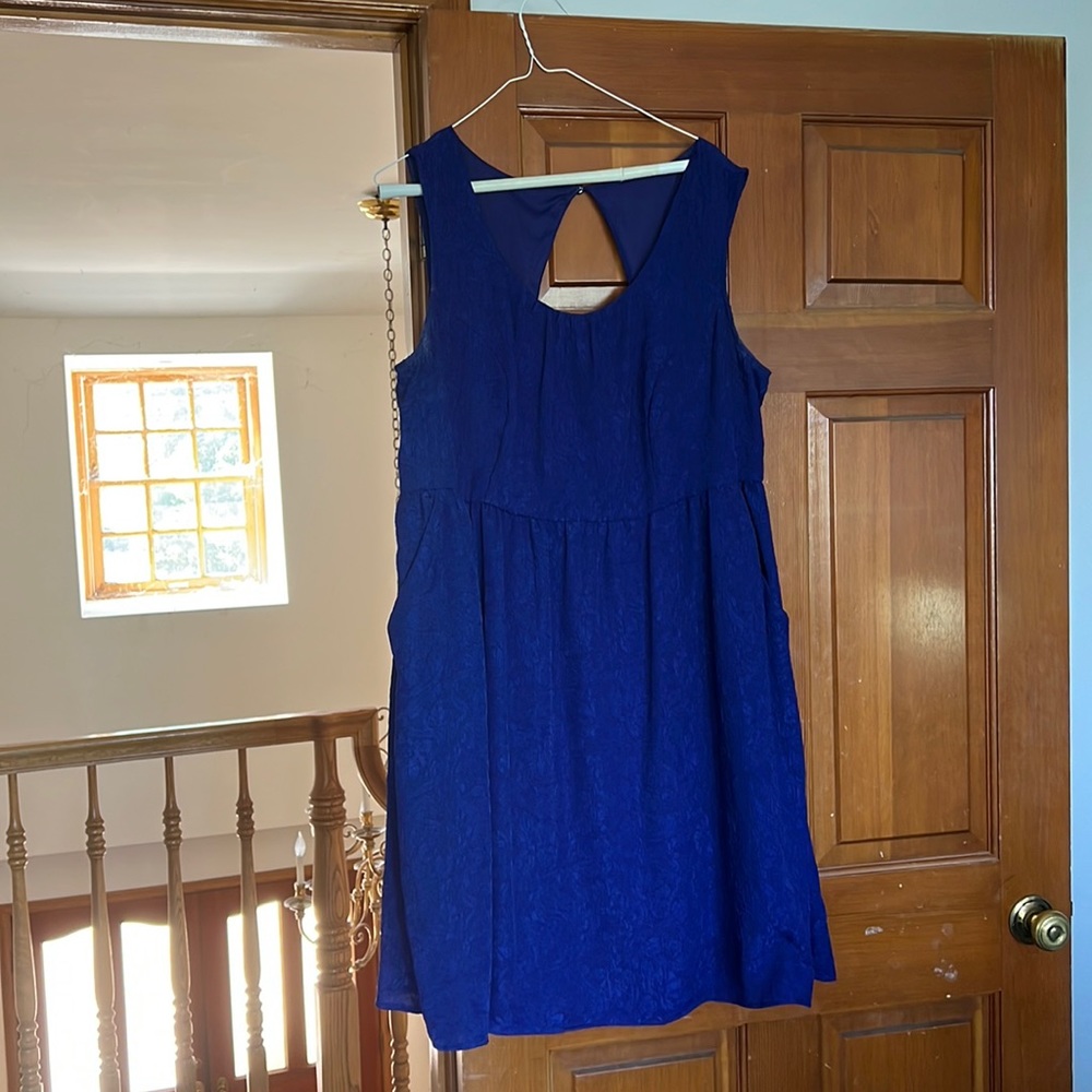 Size 16-Navy Torrid Dress